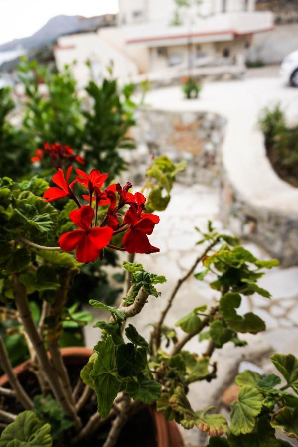 Porto Lassea Villa กาลีลิเมเนส ภายนอก รูปภาพ