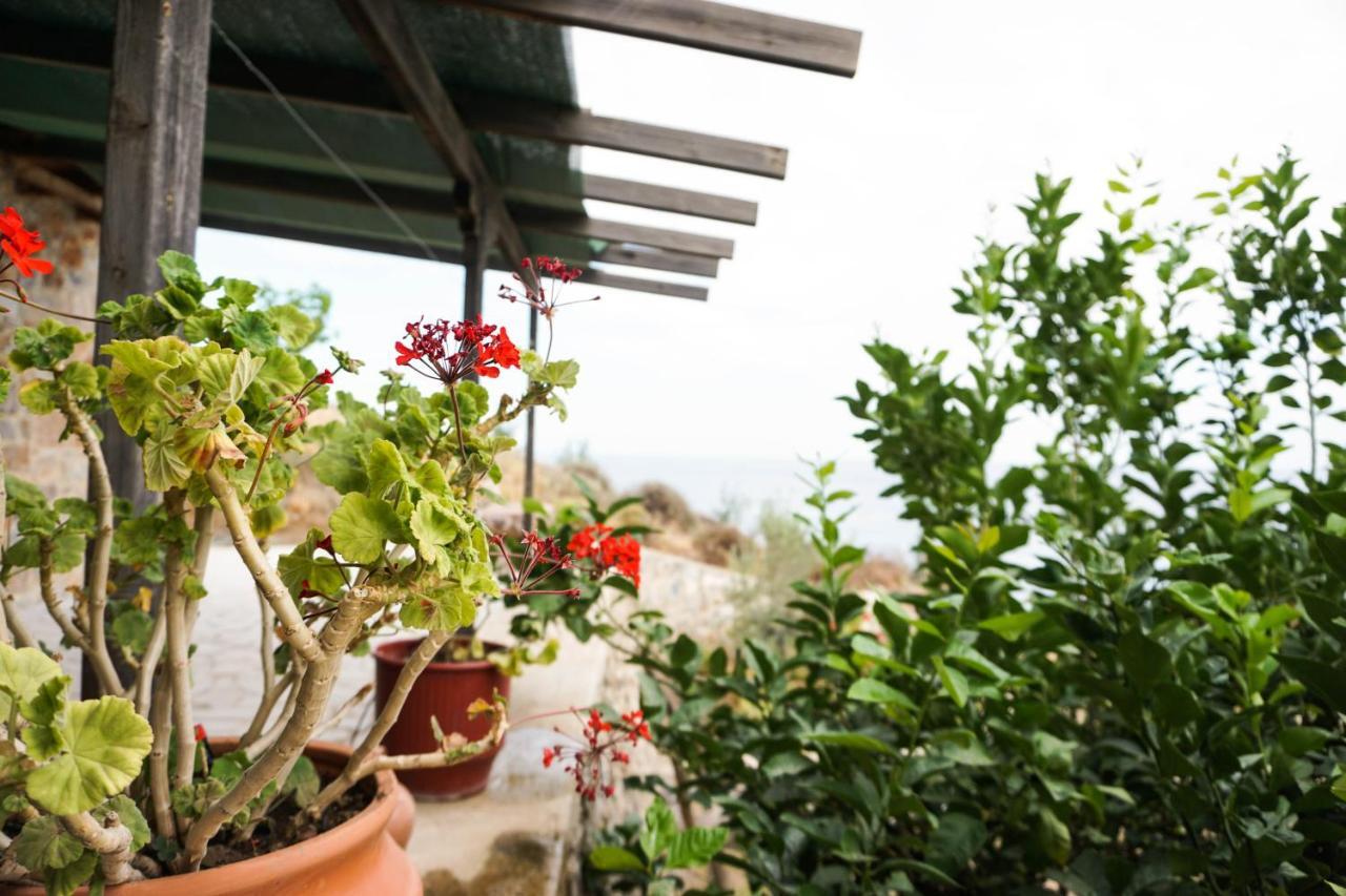 Porto Lassea Villa กาลีลิเมเนส ภายนอก รูปภาพ